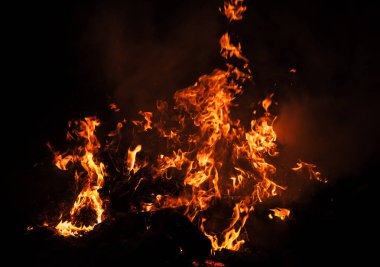 Yangın, şenlik ateşi, kamp ateşi. Gece şenlik ateşi alevleri. Siyah bir zemin üzerine alevler ateş