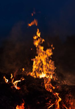 Yangın, şenlik ateşi, kamp ateşi. Gece şenlik ateşi alevleri. Siyah bir zemin üzerine alevler ateş