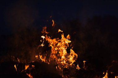 Yangın, şenlik ateşi, kamp ateşi. Gece şenlik ateşi alevleri. Siyah bir zemin üzerine alevler ateş