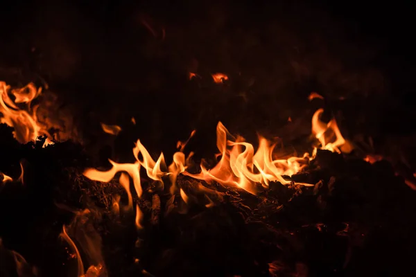 Brand Brasa Lägereld Lågor Brasa Natten Fire Flames Svart Bakgrund — Stockfoto