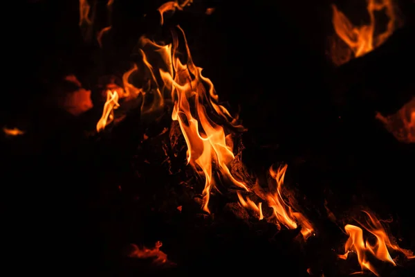 Вогонь Багаття Багаття Полум Вогню Вночі Полум Вогню Чорному Тлі — стокове фото
