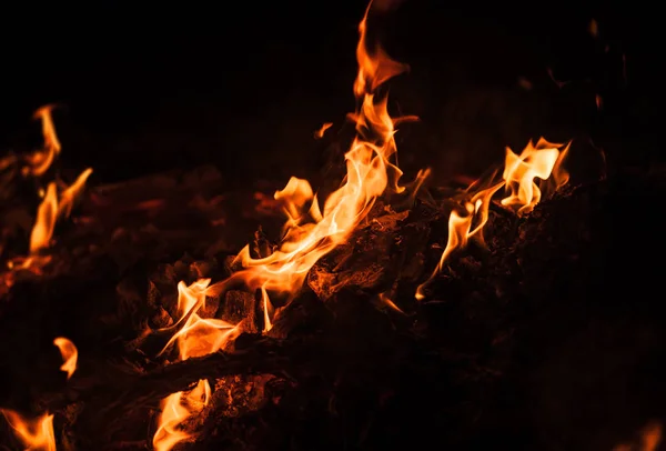 Ogień Ognisko Ognisko Płomienie Ogniska Nocy Płomienie Ognia Czarnym Tle — Zdjęcie stockowe