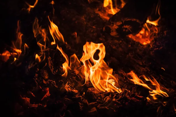 Feuer Lagerfeuer Lagerfeuer Flammen Von Lagerfeuer Der Nacht Flammen Auf — Stockfoto