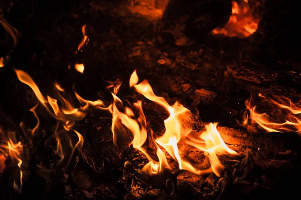 Yangın, şenlik ateşi, kamp ateşi. Gece şenlik ateşi alevleri. Siyah bir zemin üzerine alevler ateş