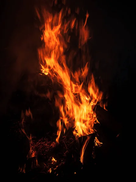 Fire Bonfire Campfire Flames Bonfire Night Fire Flames Black Background — Stock Photo, Image