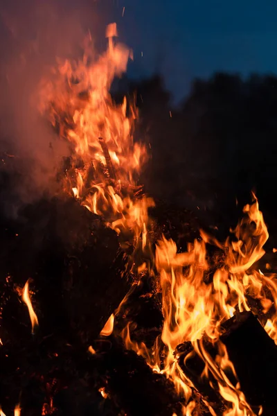 Yangın, şenlik ateşi, kamp ateşi. Gece şenlik ateşi alevleri. Siyah bir zemin üzerine alevler ateş