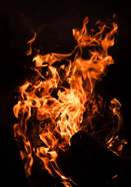 Fire Bonfire Campfire Flames Bonfire Night Fire Flames Black Background — Stock Photo, Image