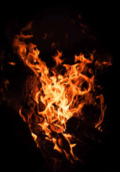 たき火 キャンプファイヤー 夜の焚き火の炎 黒の背景に火炎 — ストック写真