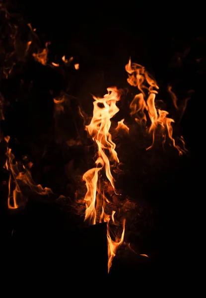 Tűz Máglya Tábortűz Lángok Tábortűz Éjszakai Tűz Lángok Fekete Háttér — Stock Fotó