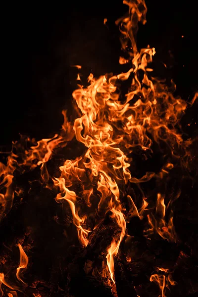 Yangın, şenlik ateşi, kamp ateşi. Gece şenlik ateşi alevleri. Siyah bir zemin üzerine alevler ateş