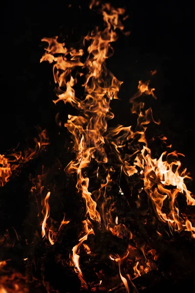 Brand Brasa Lägereld Lågor Brasa Natten Fire Flames Svart Bakgrund — Stockfoto