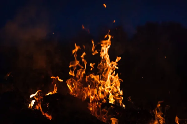 Ogień Ognisko Ognisko Płomienie Ogniska Nocy Płomienie Ognia Czarnym Tle — Zdjęcie stockowe
