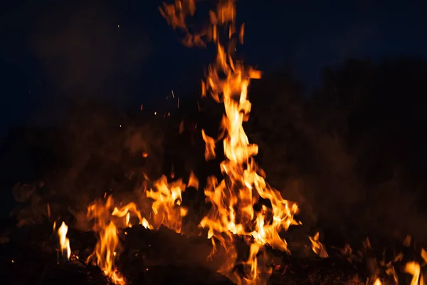 Feuer Lagerfeuer Lagerfeuer Flammen Von Lagerfeuer Der Nacht Flammen Auf — Stockfoto