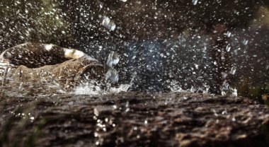 Taş ve dekoratif antika urn yağmurda ıslak. Yağmur su damlası taş'a düşüyor. Su akan ve onların etrafında sıçramasına.