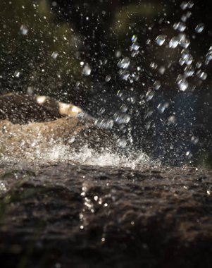 Taş ve dekoratif antika urn yağmurda ıslak. Yağmur su damlası taş'a düşüyor. Su akan ve onların etrafında sıçramasına.