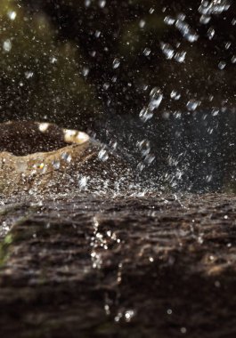Taş ve dekoratif antika urn yağmurda ıslak. Yağmur su damlası taş'a düşüyor. Su akan ve onların etrafında sıçramasına.