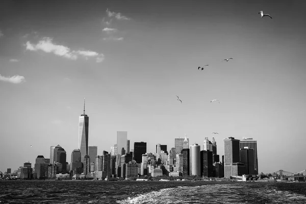 Imagen Blanco Negro Gaviotas Sobre Manhattan Vista Panorámica Del Horizonte —  Fotos de Stock