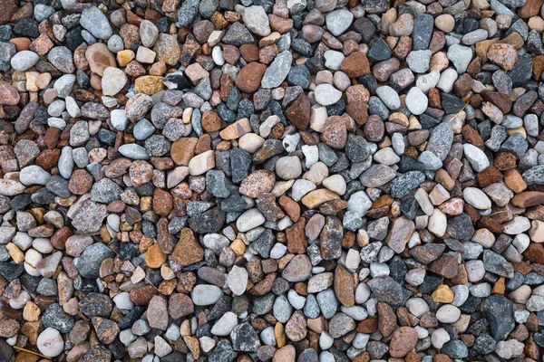 Different Colored Rocks Pebbles Beach Various Colors Textures — Stock Photo, Image