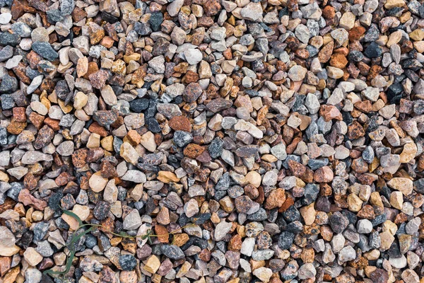 Diferentes Rochas Coloridas Seixos Uma Praia Várias Cores Texturas — Fotografia de Stock