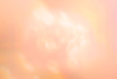 Arka plan ışık tonalite içinde. Bokeh ışıklarla görüntünün bulanık ve yumuşak odak