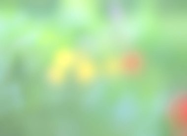 Doğal arka plan. Çiçekler güneş ışığı ışınlarının ufuk noktası olan soyut bulanık görüntü bir bahar bahçe. Bokeh arka plan. Tasarım öğesi