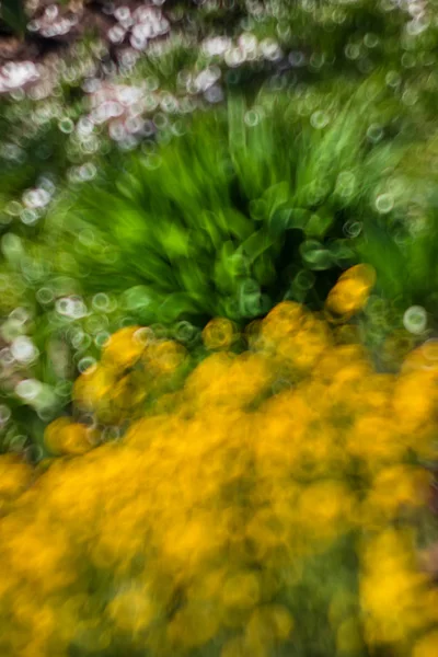 Natürlicher Hintergrund Abstraktes Verschwommenes Bild Eines Frühlingsgartens Mit Defokussierten Blütenflecken — Stockfoto