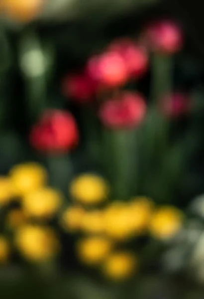自然な背景 日光の光線で花の多重スポットで春の庭の抽象的な不鮮明な画像 背景のボケ味 デザインの要素 — ストック写真