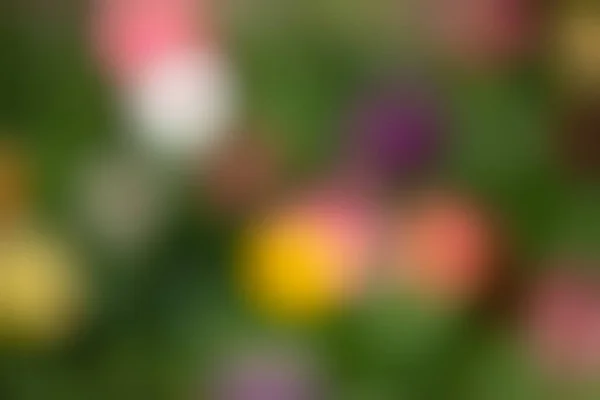 Natural Background Abstract Blurred Image Spring Garden Defocused Spots Flowers — Stock Photo, Image