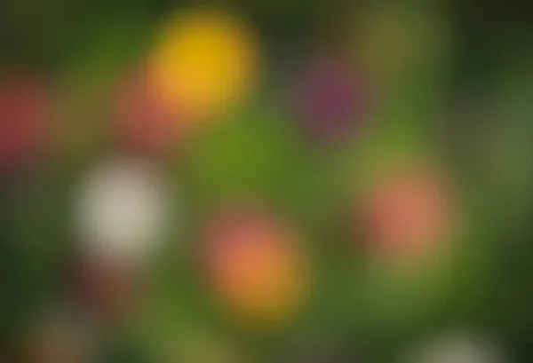 Natural Background Abstract Blurred Image Spring Garden Defocused Spots Flowers — Stock Photo, Image