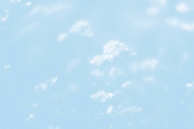 Doğal ışık mavi tonalite arka planda. Yumuşak odak resim aurinia saxatilis çiçek bahar zamanında