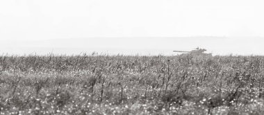 Donetsk Reg, Ukrayna - Okt 12, 2018: Askeri teçhizat bir askeri eğitim zemin, karmaşık taktik çalışmaları sırasında çeşitli askeri kuvvetlerinin Donetsk bölgesi kıyı alan savunma