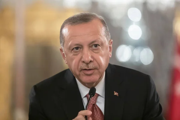 Istanbul Türkiye Kasım 2018 Türkiye Cumhurbaşkanı Recep Tayyip Erdoğan Görüşmede — Stok fotoğraf