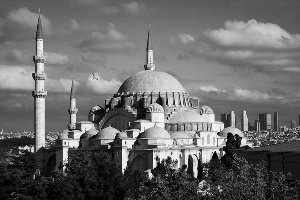 Black White Image Blue Mosque Sultanahmet Camii Istanbul Turkey — Stock Photo, Image
