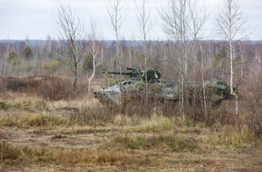 Zhytomyr Reg, Ukrayna - 21 Kasım 2018: hava indirme birlikleri Ukrayna silahlı kuvvetleri Zhytomyr bölgesi Eğitim Merkezi'nde eğitim mücadele. Piyade savaş aracı