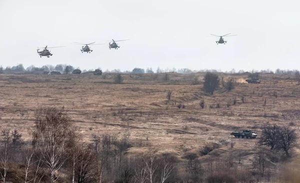 Zhytomyr Της Reg Ουκρανία Νοεμβρίου 2018 Την Καταπολέμηση Της Κατάρτισης — Φωτογραφία Αρχείου