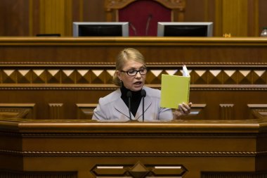 Ukrayna'nın Verkhovna Rada Yulia Timoşenko 