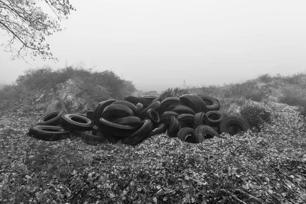 Ecological concept. Heap of old tires. Dump of old used tires in the city on a foggy autumn day