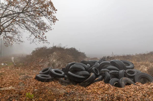 Ökologisches Konzept Haufen Alter Reifen Altreifen Einem Nebligen Herbsttag Der — Stockfoto