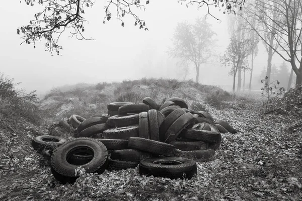 Ecological concept. Heap of old tires. Dump of old used tires in the city on a foggy autumn day