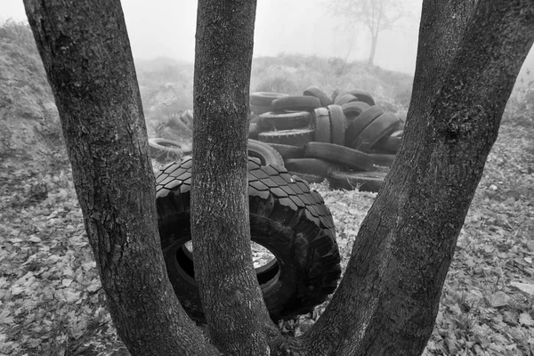 Concetto Ecologico Mucchio Vecchie Gomme Scarto Vecchi Pneumatici Usati Città — Foto Stock