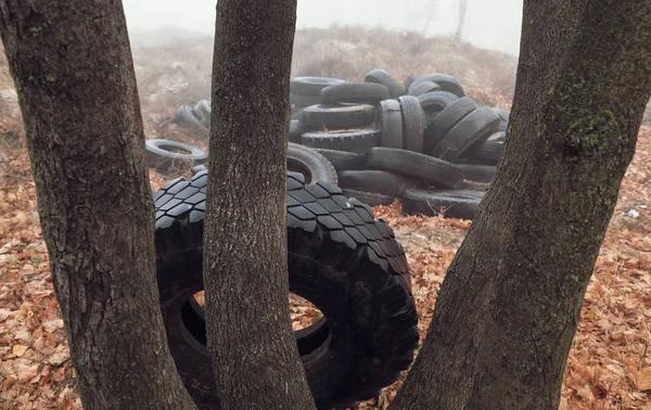 Ecological concept. Heap of old tires. Dump of old used tires in the city on a foggy autumn day