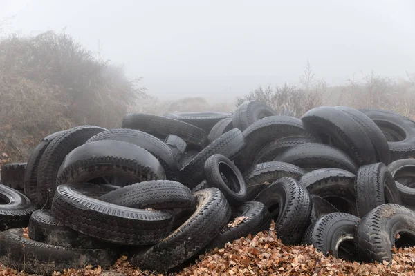 Ökologisches Konzept Haufen Alter Reifen Altreifen Einem Nebligen Herbsttag Der — Stockfoto