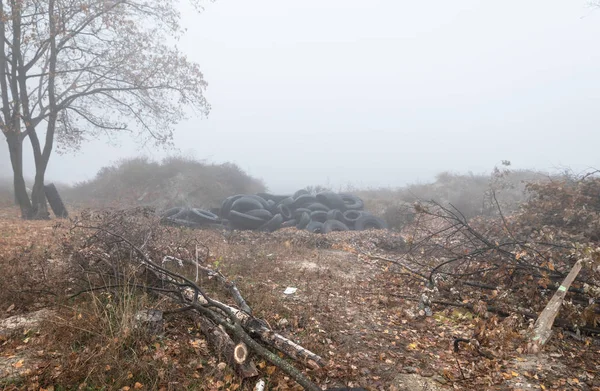 Ökologisches Konzept Haufen Alter Reifen Altreifen Einem Nebligen Herbsttag Der — Stockfoto