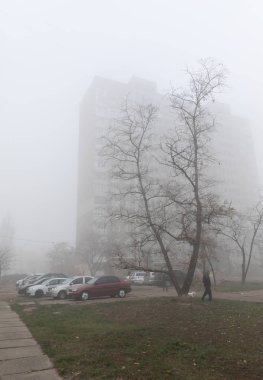 Şehrin sisli sonbahar sabahı. Ekolojik kavram. Şehrin soğuk karanlık sonbahar sabah sokak üzerinde derin sis. 