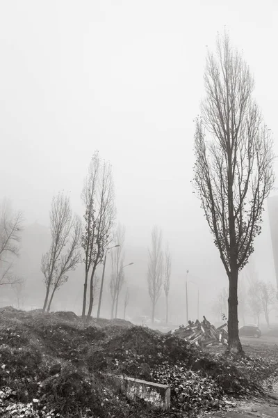 Mistige Herfstochtend Stad Ecologisch Concept Diepe Mist Straat Koude Donkere — Stockfoto