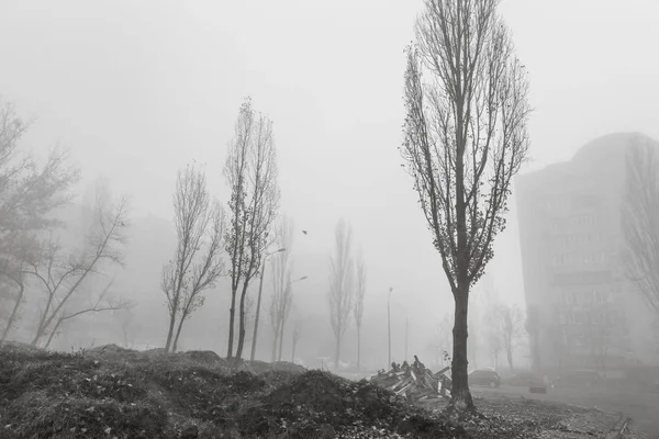 Foggy Höst Morgon Staden Ekologiskt Begrepp Djupt Dimma Stadens Gata — Stockfoto