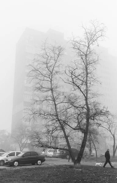 Foggy autumn morning in the city. Ecological concept. Deep fog on the city street in cold dark autumn morning.