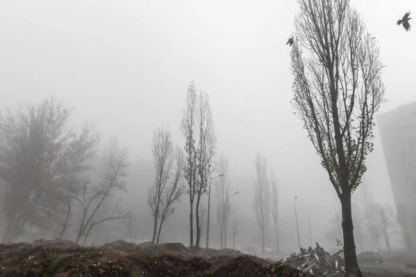Ομιχλώδες Πρωινό Φθινοπώρου Στην Πόλη Οικολογική Έννοια Βαθιά Ομίχλη Στο — Φωτογραφία Αρχείου