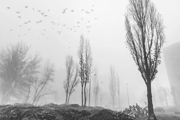 Mistige Herfstochtend Stad Ecologisch Concept Diepe Mist Straat Koude Donkere — Stockfoto