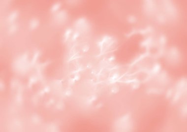 Tatiller ve tasarım konsepti. Arka plan. Mercan rengi yaşayan trendy bulanık bokeh ışıkları ile görüntü